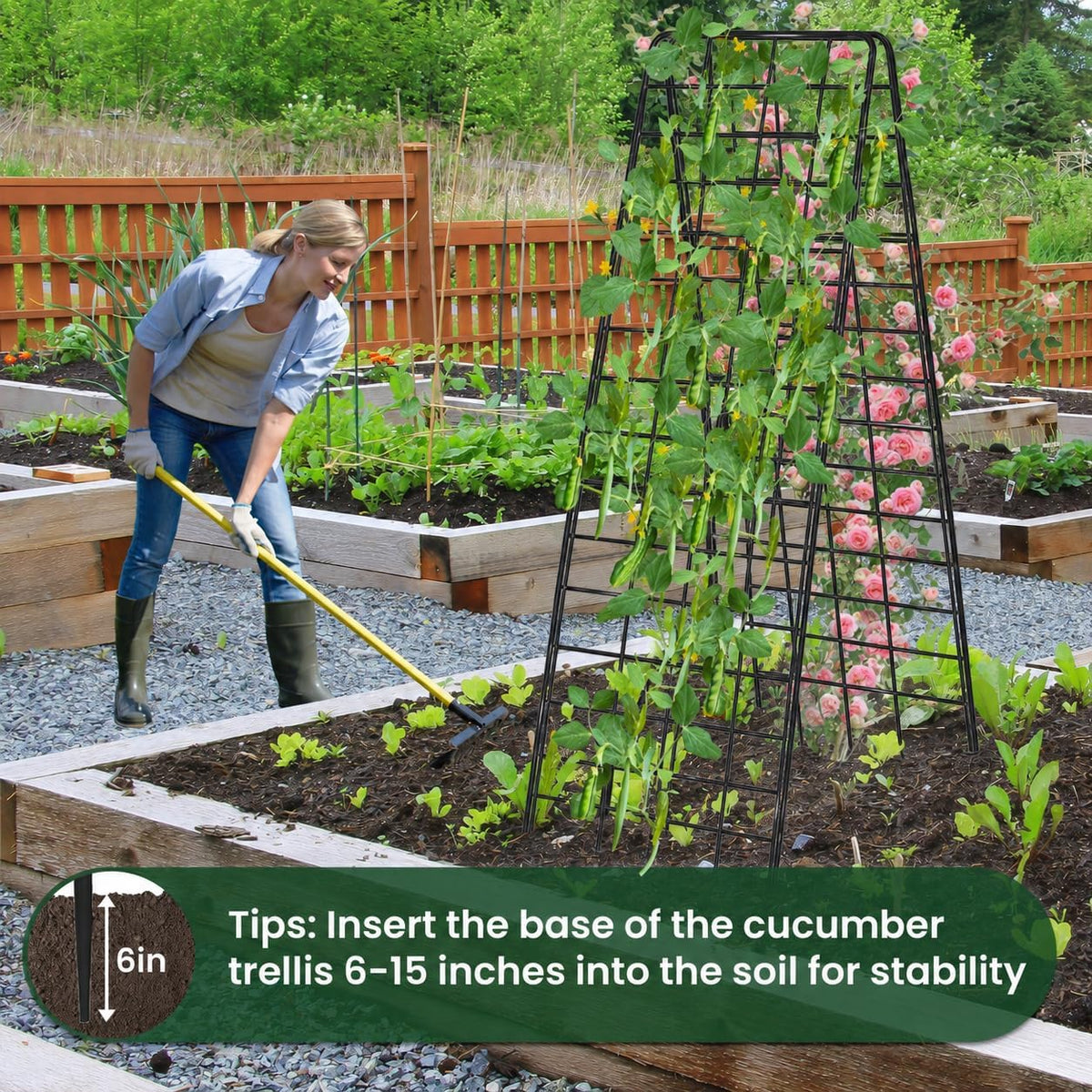 A-Frame Cucumber Trellis for Raised Bed, 50"x 16" Adjustable Heavy Duty Metal Garden Trellis for Climbing Plants Outdoor, Plant Support for Tomatoes Pea Bean Grape Vining Vegetables (2 Pack)