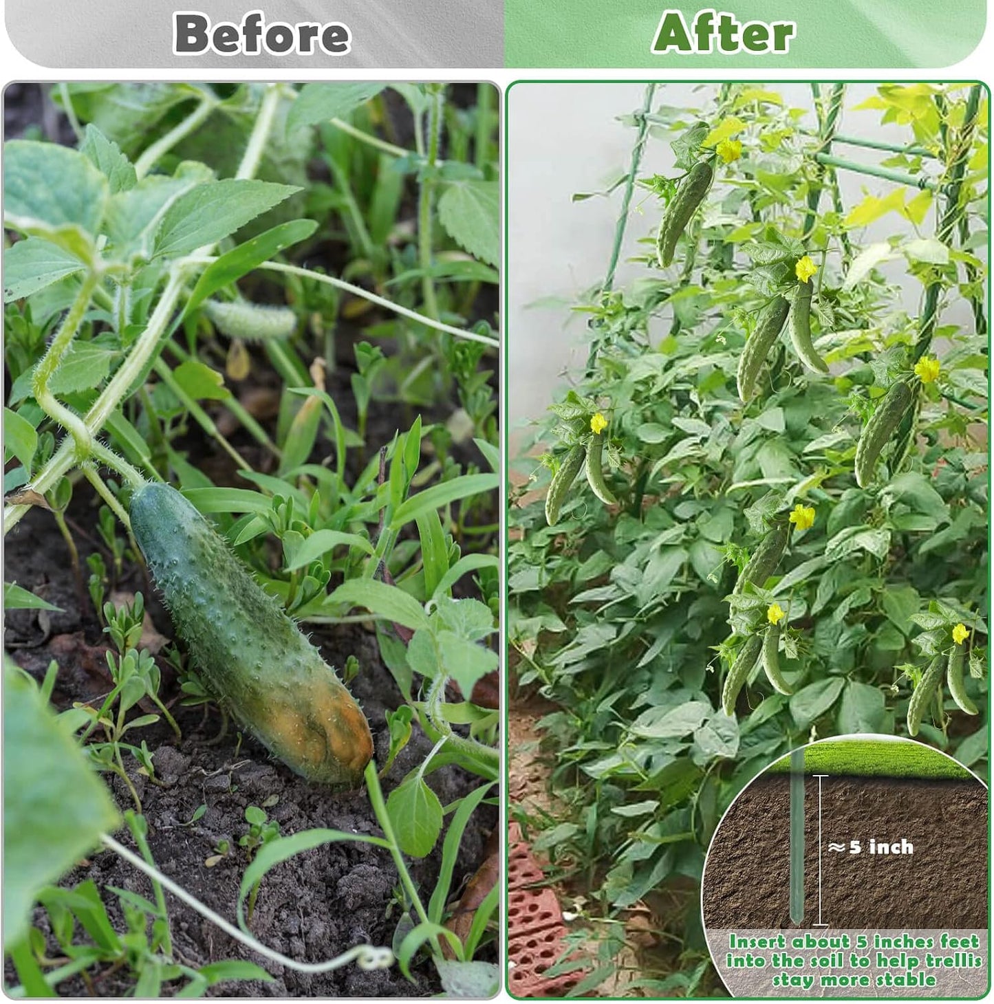 Cucumber Trellis for Raised Beds, U-Shaped Garden Trellis 63 x 45