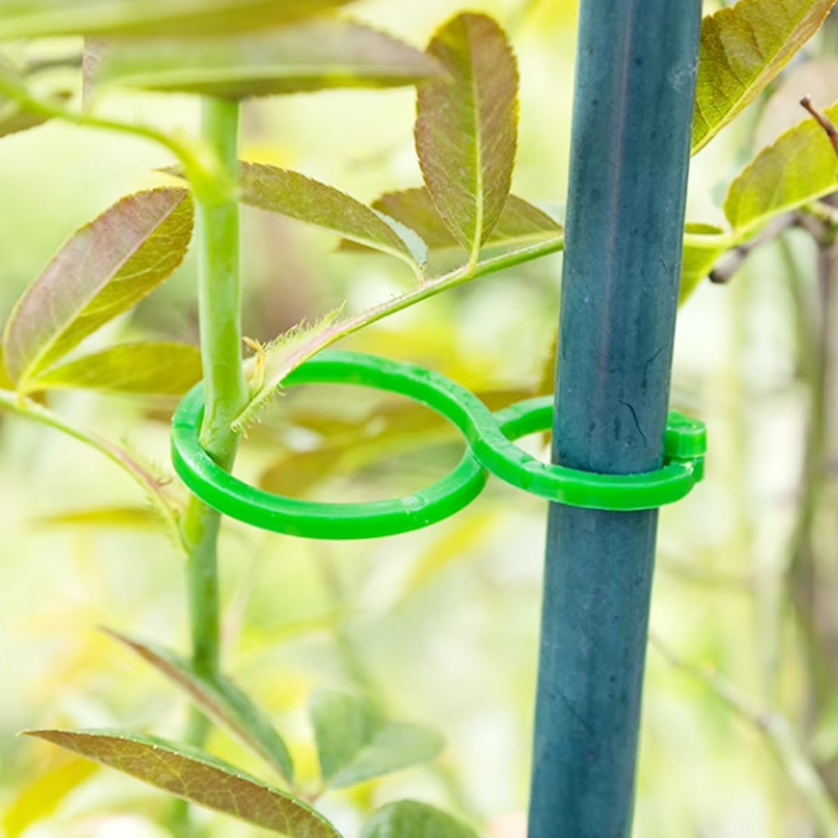 200PCS Tomato Clips for Support Plant Clips Garden Clips for Climbing Plants Tomato Plant Clips Plant Support Clips for Gardening for Securing Plants