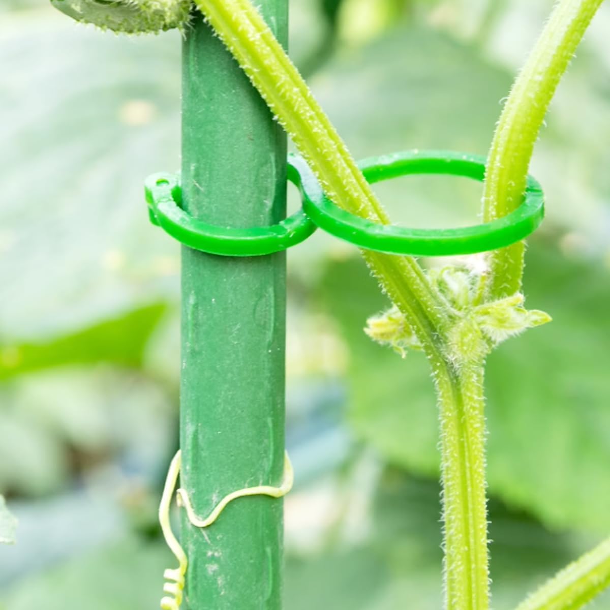 200PCS Tomato Clips for Support Plant Clips Garden Clips for Climbing Plants Tomato Plant Clips Plant Support Clips for Gardening for Securing Plants