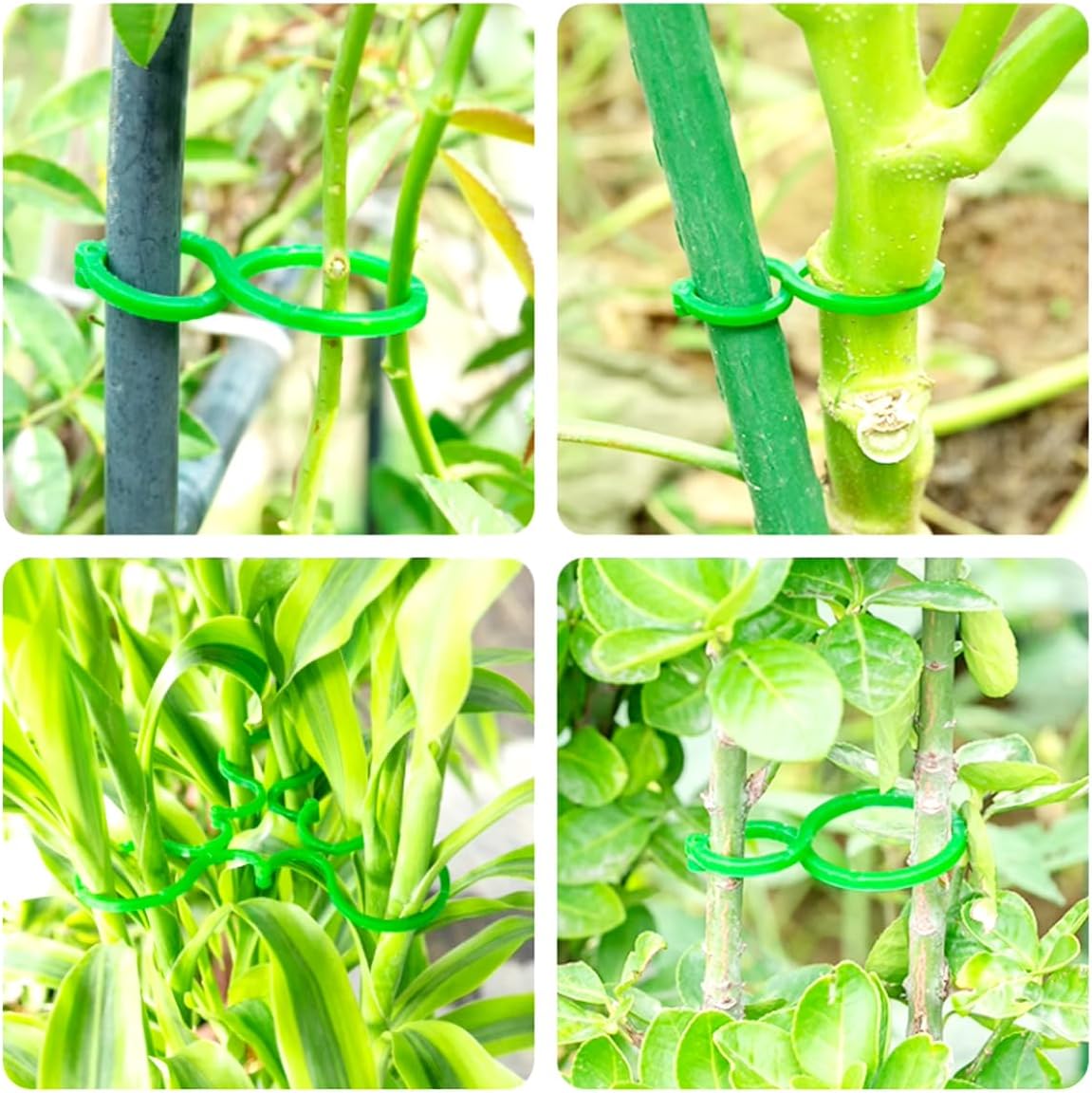 200PCS Tomato Clips for Support Plant Clips Garden Clips for Climbing Plants Tomato Plant Clips Plant Support Clips for Gardening for Securing Plants