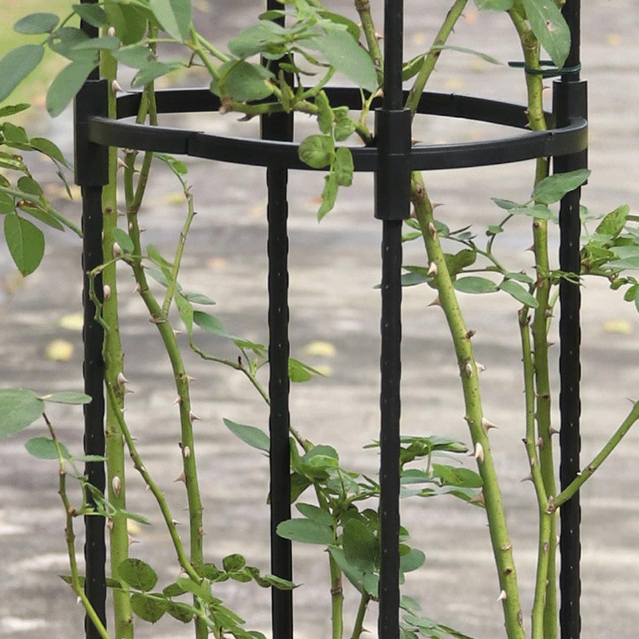 Metal Garden Trellis for Climbing Plants 8mm Outdoor Support Frame for Vines and Flowers Adjustable Height Garden Obelisk for Potted Plants for Tomatoes and Roses