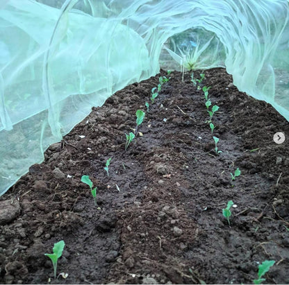 50-5060 Haxnicks Easy Fleece Tunnel Garden Cloche, Cover and Protect Plants from Harsh Weather, Animals, and Pests, Fleece Dome for Your Garden