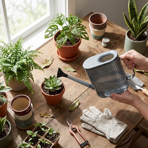 Watering Can for Indoor and Outdoor Plants, Large Long Spout with Removable Stainless Steel Sprinkler Head, Modern Small Garden Watering Can for Houseplants, Bonsai, Flowers (Gray)