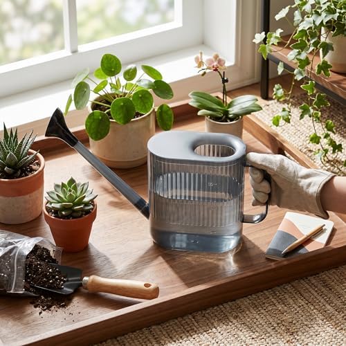 Watering Can for Indoor and Outdoor Plants, Large Long Spout with Removable Stainless Steel Sprinkler Head, Modern Small Garden Watering Can for Houseplants, Bonsai, Flowers (Gray)