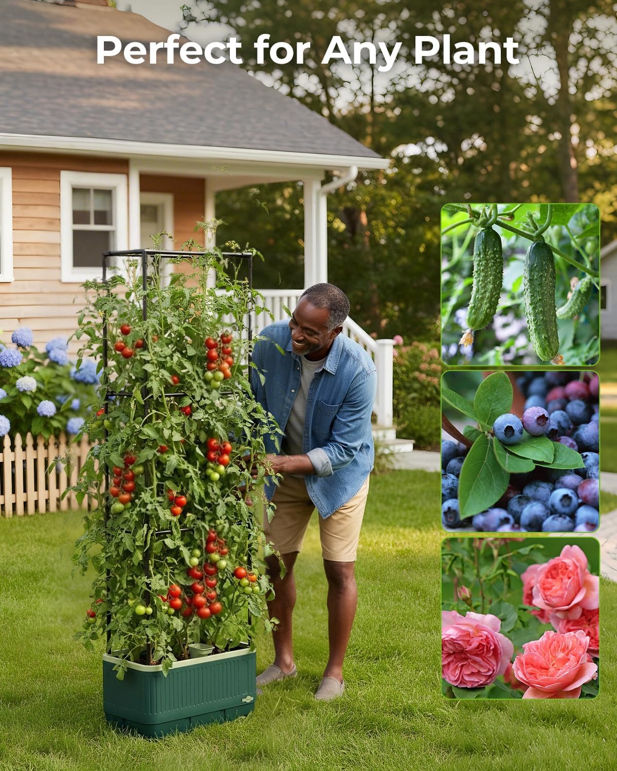 Raised Garden Bed Planter Box with Trellis, Self Watering Tomato Planters for Climbing Plants, Tomato Cage Trellis for Vegetables & Vine Flowers Indoor Outdoor Patio
