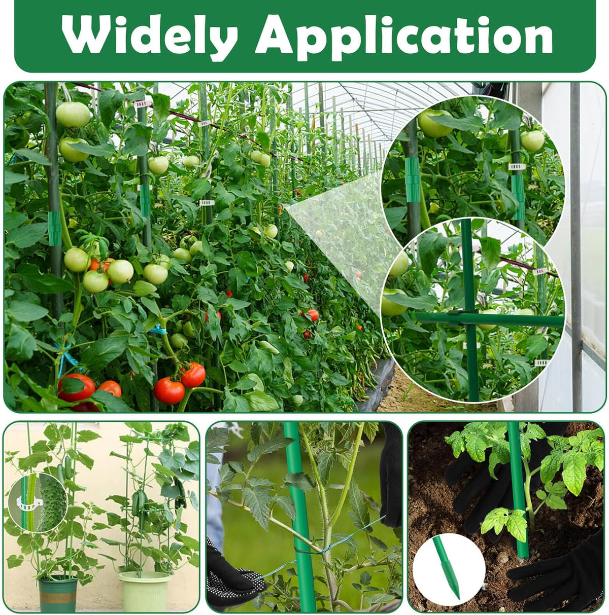 208PCS Garden Stakes Set with 60 Sets Fiberglass Plant Stakes Sticks Supports and Accessories, DIY 4ft 5ft 6ft 7ft Tomato Stakes for Tomato,Vegetables, Pepper, Fences Indoor Outdoor Plants