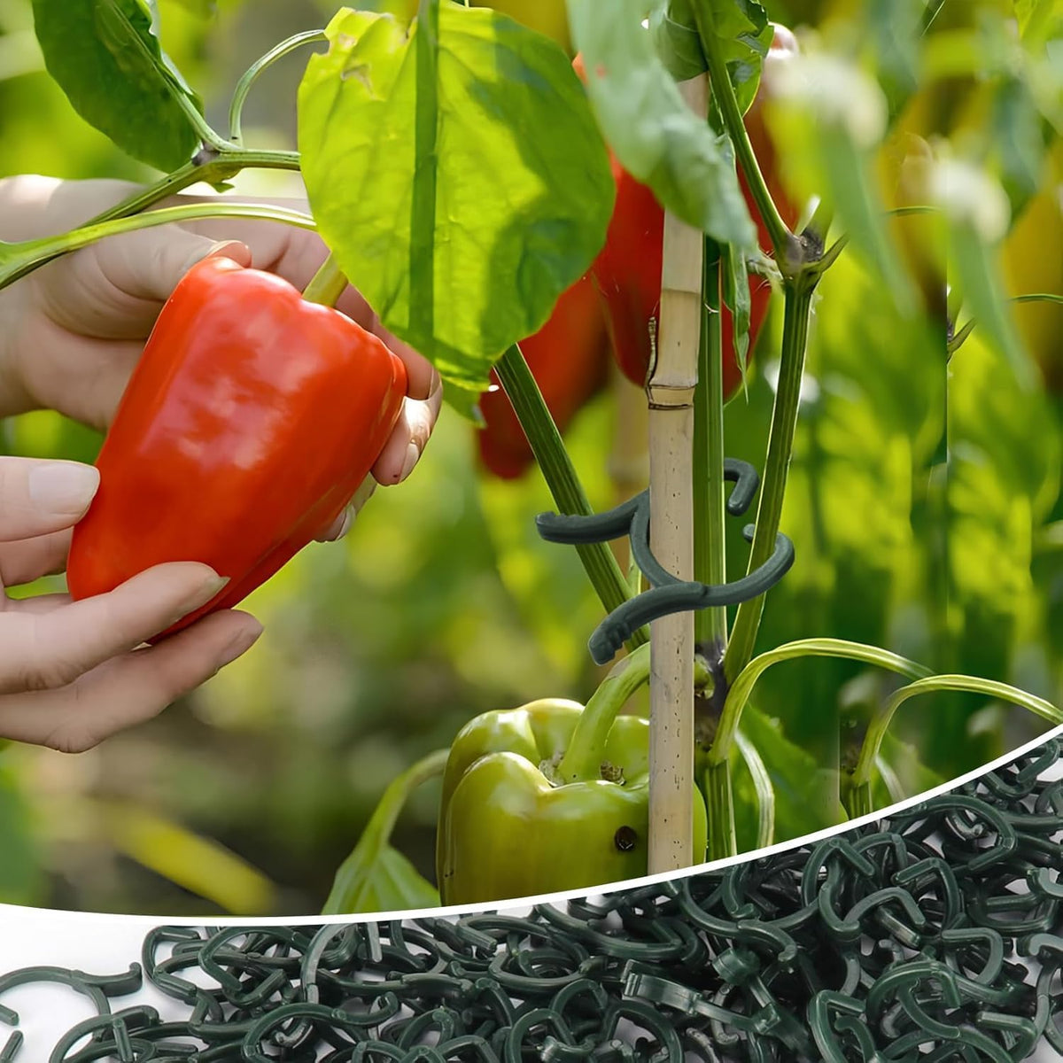 100 Pcs Plant Clips for Climbing Plants Garden Clips Plant Support Clips for Tomato Gardening Clips Vegetable Clips for Support for Securing Plants