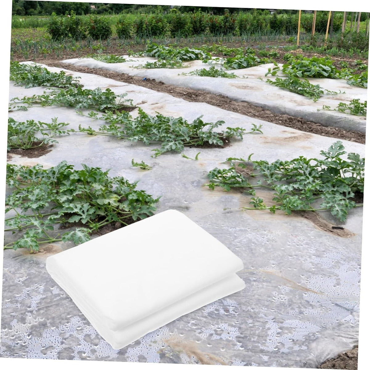 Antifreeze Cover Shrub Freeze Protection Nonwoven Plant Frost Cover Winter Plant Safety Floating Row Outdoor Vegetable Insulation