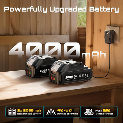 2-in-1 Cordless 8 Inch Pole Saw & Mini Chainsaw, 2×4.0Ah Batteries