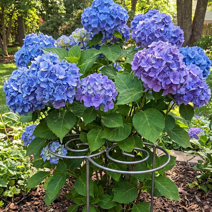 Peony Cages and Supports, Grow Through Plant Support, 3 Size Metal Flower Support Rings, Outdoor Garden Peonies Cages for Vegetables, Roses, Tomatoes (M)