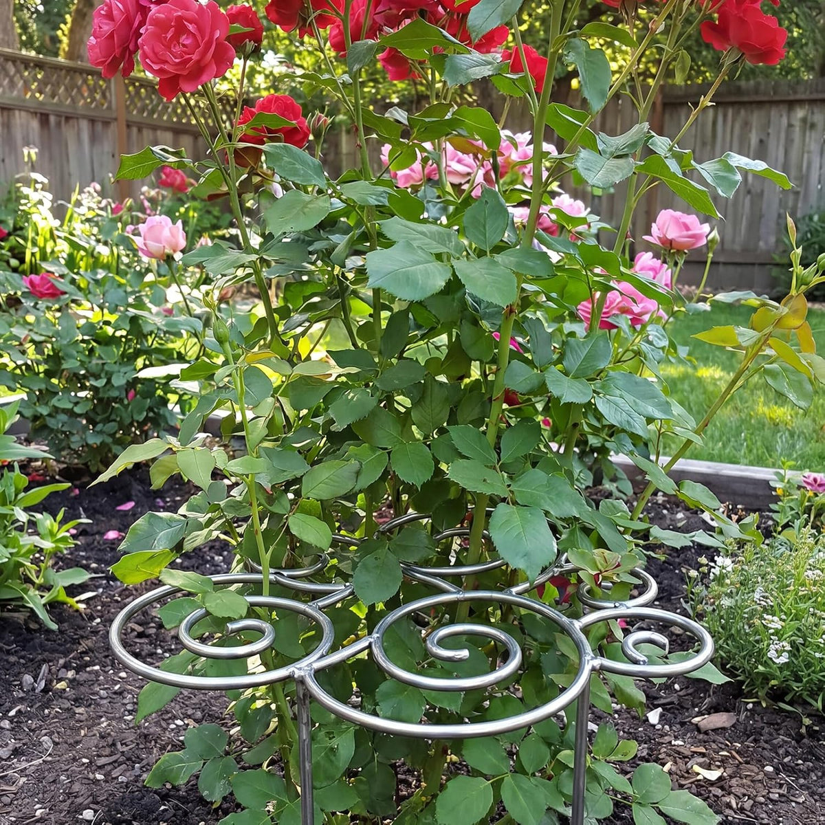 Peony Cages and Supports, Grow Through Plant Support, 3 Size Metal Flower Support Rings, Outdoor Garden Peonies Cages for Vegetables, Roses, Tomatoes (M)