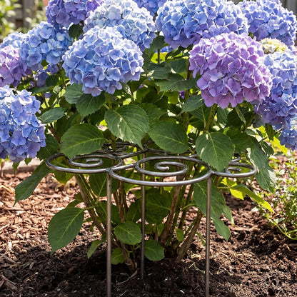 Peony Cages and Supports, Grow Through Plant Support, 3 Size Metal Flower Support Rings, Outdoor Garden Peonies Cages for Vegetables, Roses, Tomatoes (M)