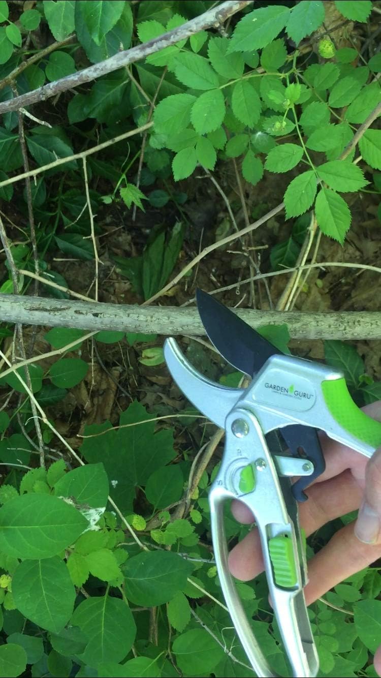 2 in 1 Ratchet Pruning Shears Clippers – 4X Cutting Power – Ratcheting Garden Anvil Pruners Scissors - Ergonomic Grip - Makes Tough Cuts Easy - Great for Seniors & Arthritic Hands