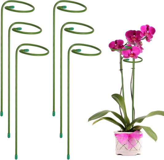 6pcs Plant Support Stakes, 10inch Single Stem Stakes Garden Plant Cage Support Rings for Orchid Rose Tomato Peony Flowers