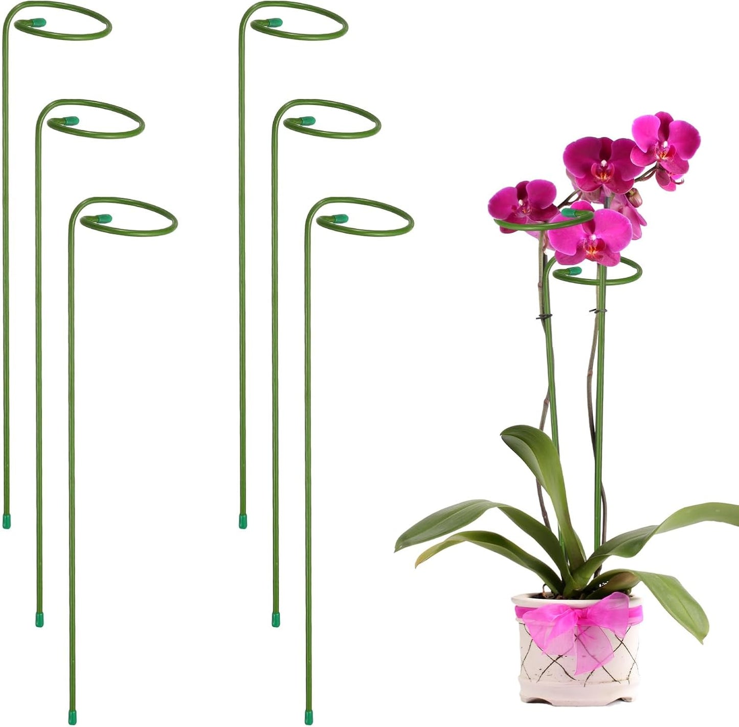 6pcs Plant Support Stakes, 10inch Single Stem Stakes Garden Plant Cage Support Rings for Orchid Rose Tomato Peony Flowers