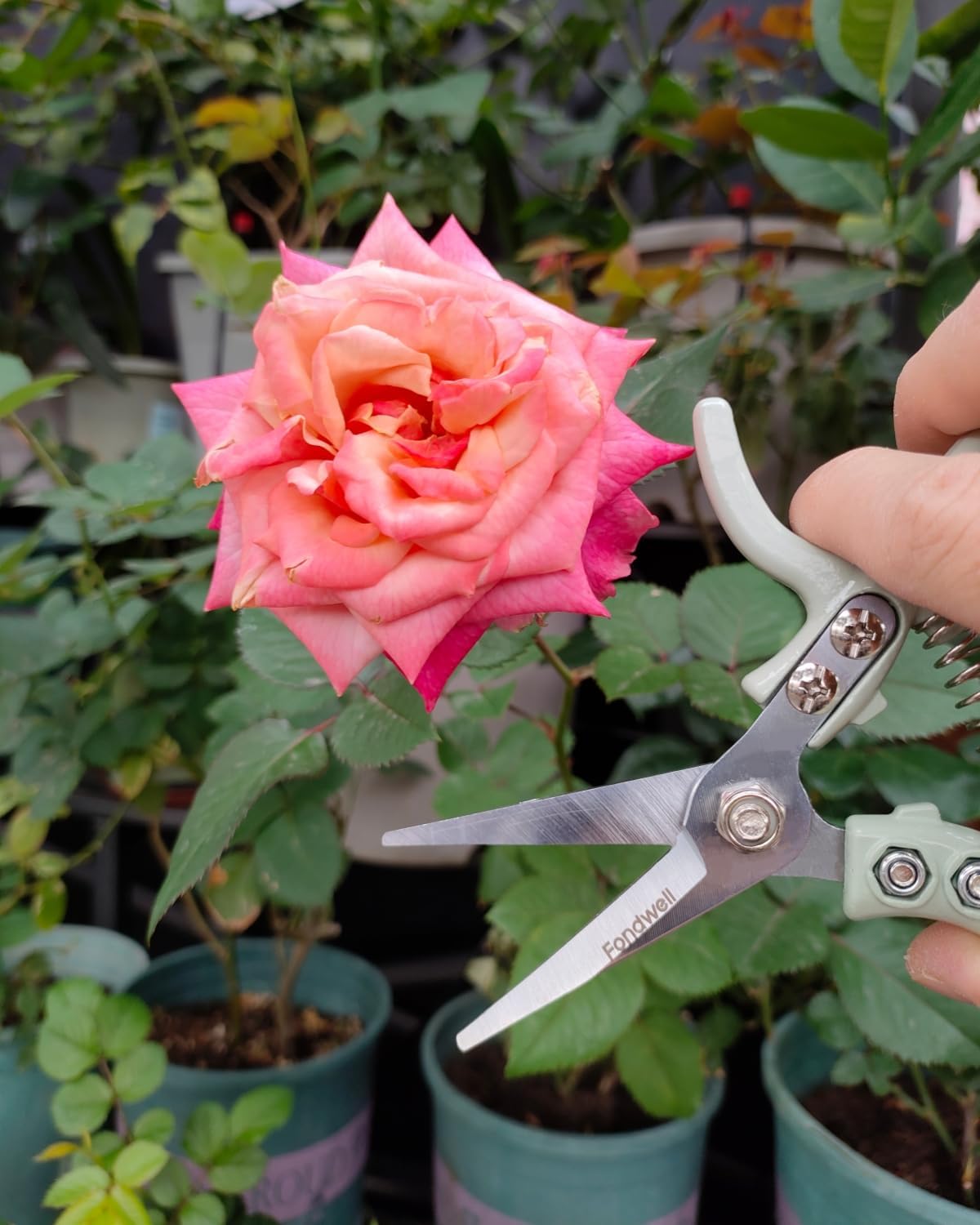 6" Small Pruning Shears Garden Scissors for Indoor Plants Trimming