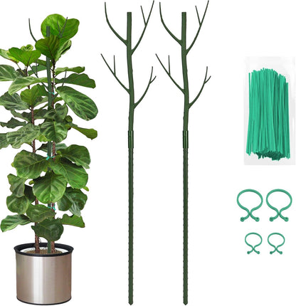 Plant Support Stakes for Indoor Plants, 2-Pack Plant Trellis, Brown