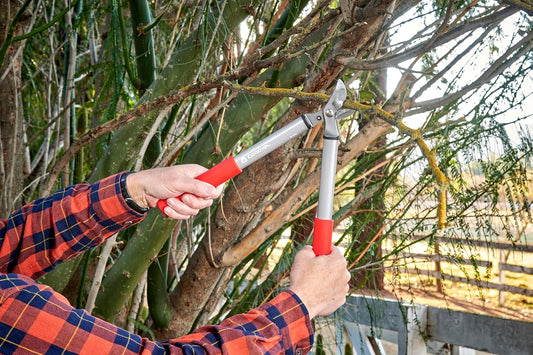 Forged Steel ClassicCUT Bypass Hand Pruner – 3/4-inch Cut Capacity Heavy-Duty Garden Pruning Shears for Tree, Shrub & Plant Trimming