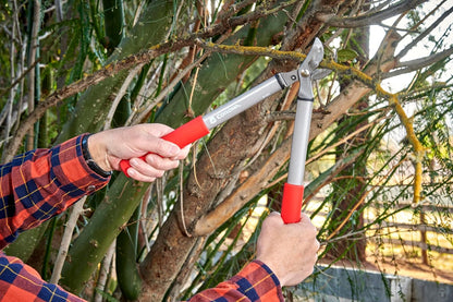 Forged Steel ClassicCUT Bypass Hand Pruner – 3/4-inch Cut Capacity Heavy-Duty Garden Pruning Shears for Tree, Shrub & Plant Trimming