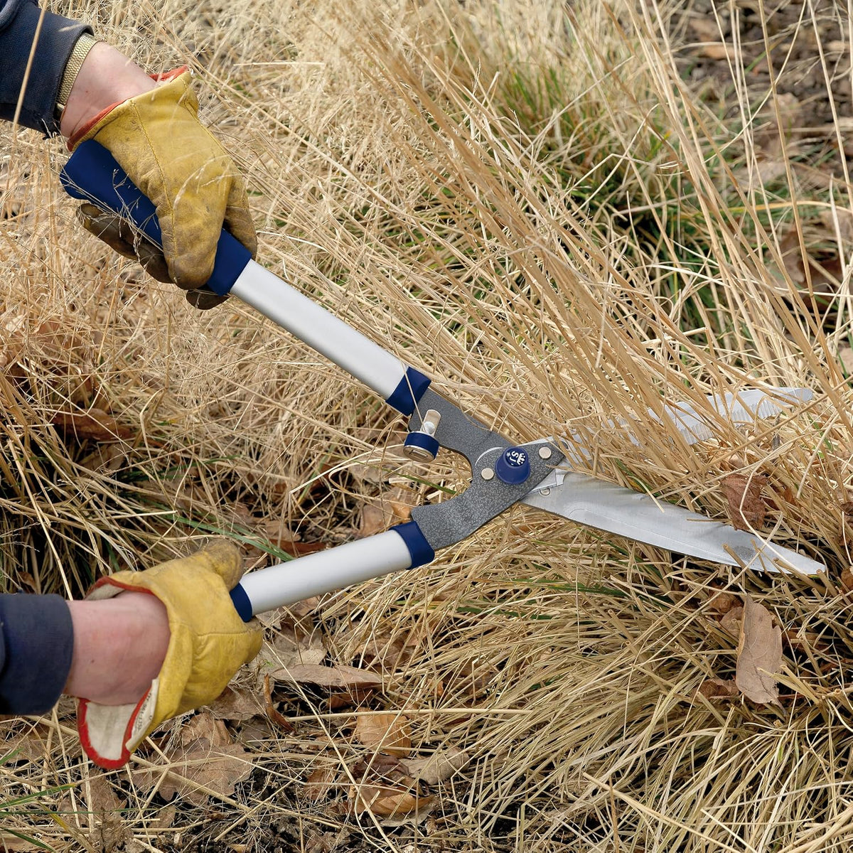 Razorsharp Notched Hedge Shears, Professional Garden Tool for Precision Trimming and Shaping, Quality Carbon Steel Blades