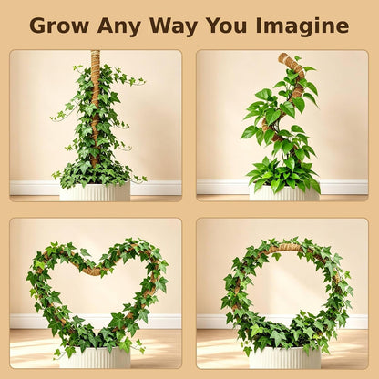 4 Pack Moss Pole, 2 Pack 28" & 2 Pack 48" Bendable Monstera Plant Support, Plant Stakes for Climbing Indoor Plants, Coco Coir Moss Pole for Potted Plants, Pothos, Philodendron