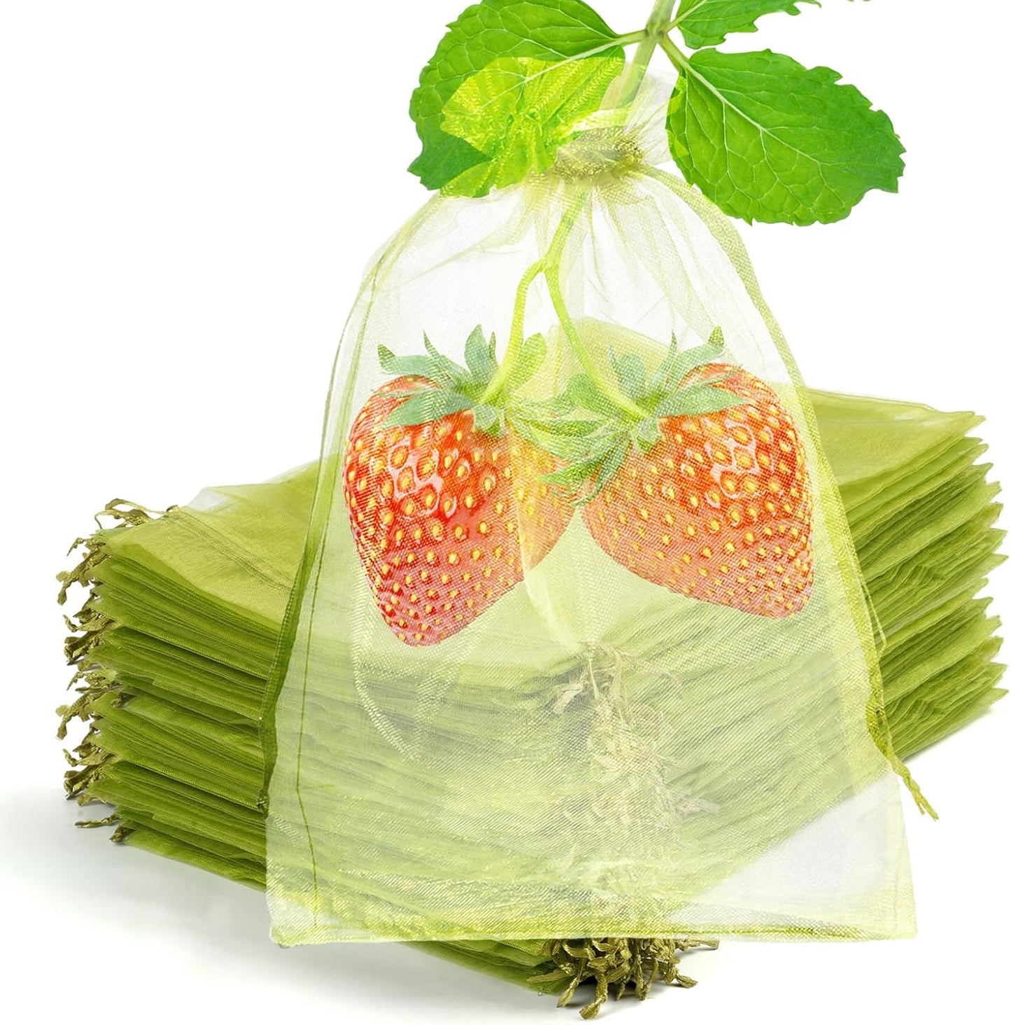 50 Pcs Fruit Protection Bags, 4×6 in Mesh Cover Nets for Tree, Green