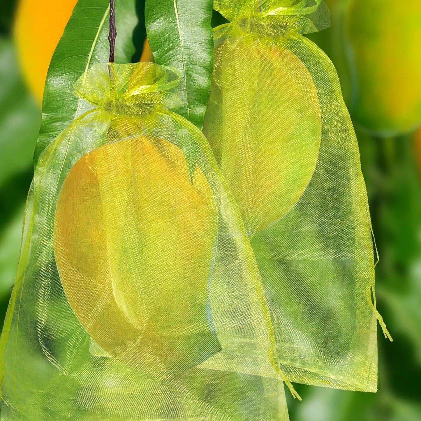 50 Pcs Fruit Protection Bags, 4×6 in Mesh Cover Nets for Tree, Green
