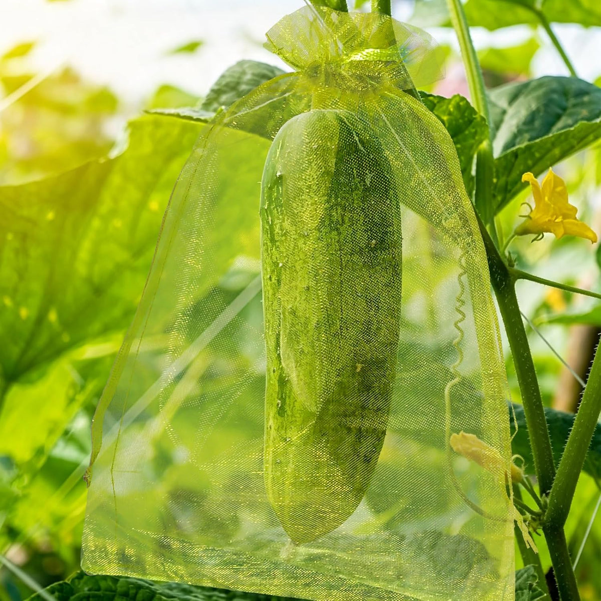 50 Pcs Fruit Protection Bags, 4×6 in Mesh Cover Nets for Tree, Green