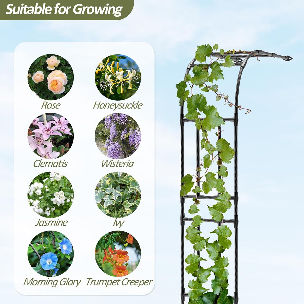 Half Garden Arch - 47in(L)*94.5in(H),Wall Trellis for Climbing Plants Outdoor, Metal Arch with Plastic-Coated Steel Pipe, Arbor Trellis for Lawn, Patio, Backyard Decorations(20MM Pipe)