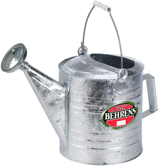 208 2-Gallon Steel Watering Can, Silver