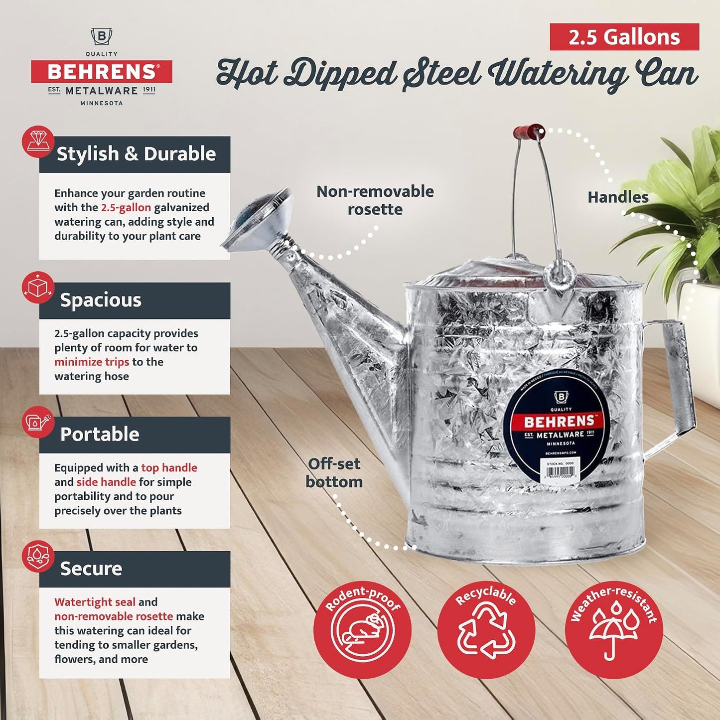 208 2-Gallon Steel Watering Can, Silver