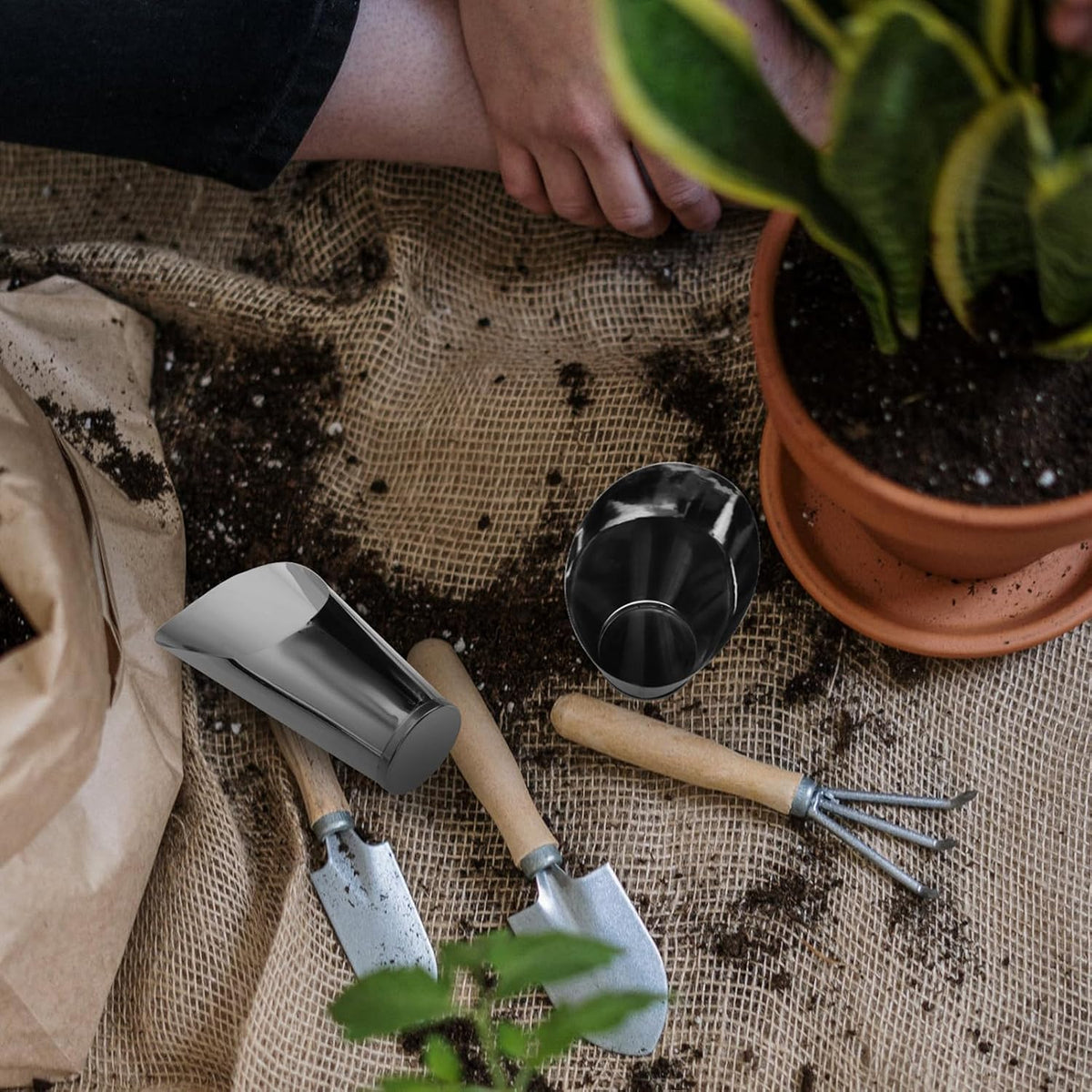 3pcs Bonsai Shovel Stainless Steel Garden Hand Metal Spade Shovel Bucket Spade Potted Planting Potting Cup for Home Gardening Silver
