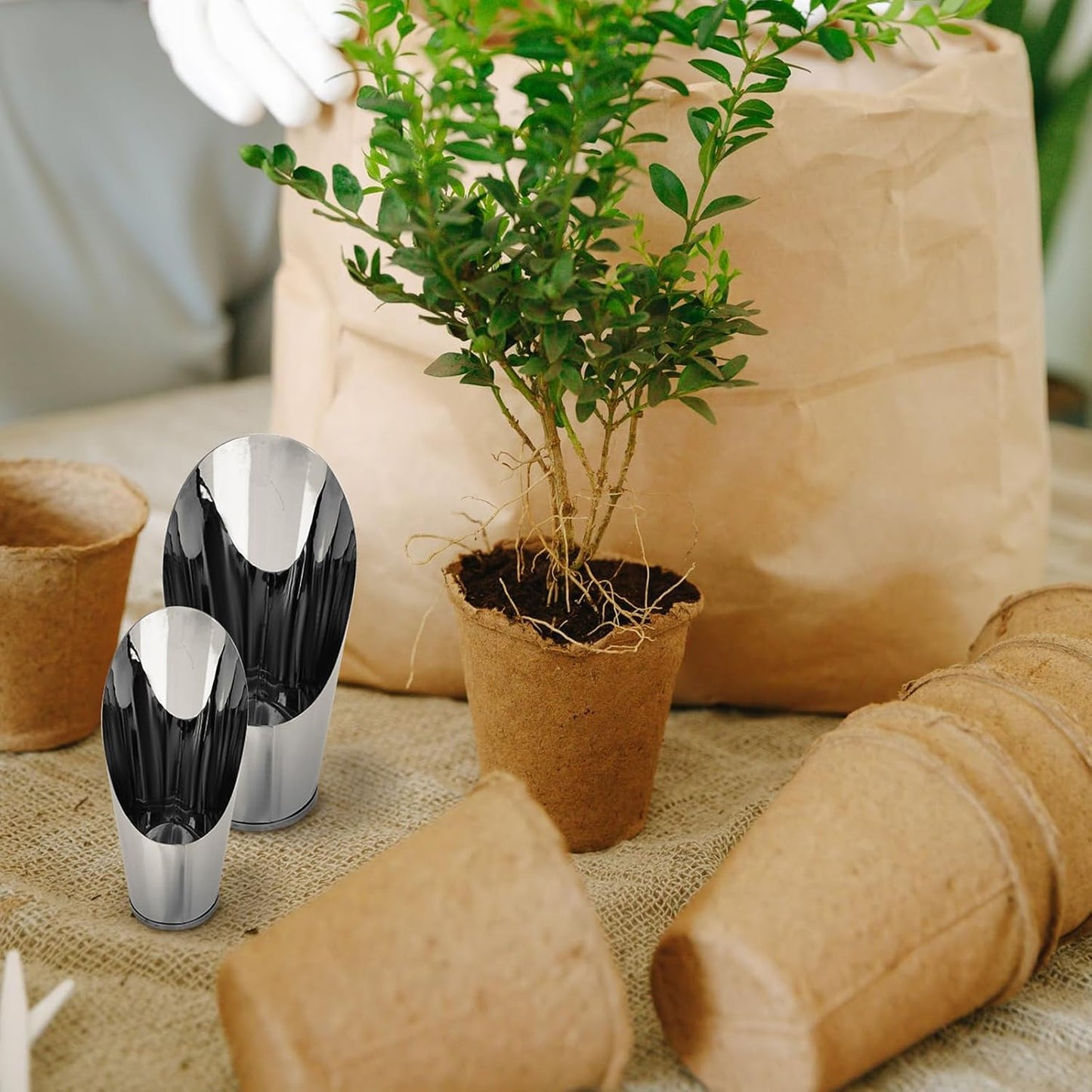 3pcs Bonsai Shovel Stainless Steel Garden Hand Metal Spade Shovel Bucket Spade Potted Planting Potting Cup for Home Gardening Silver