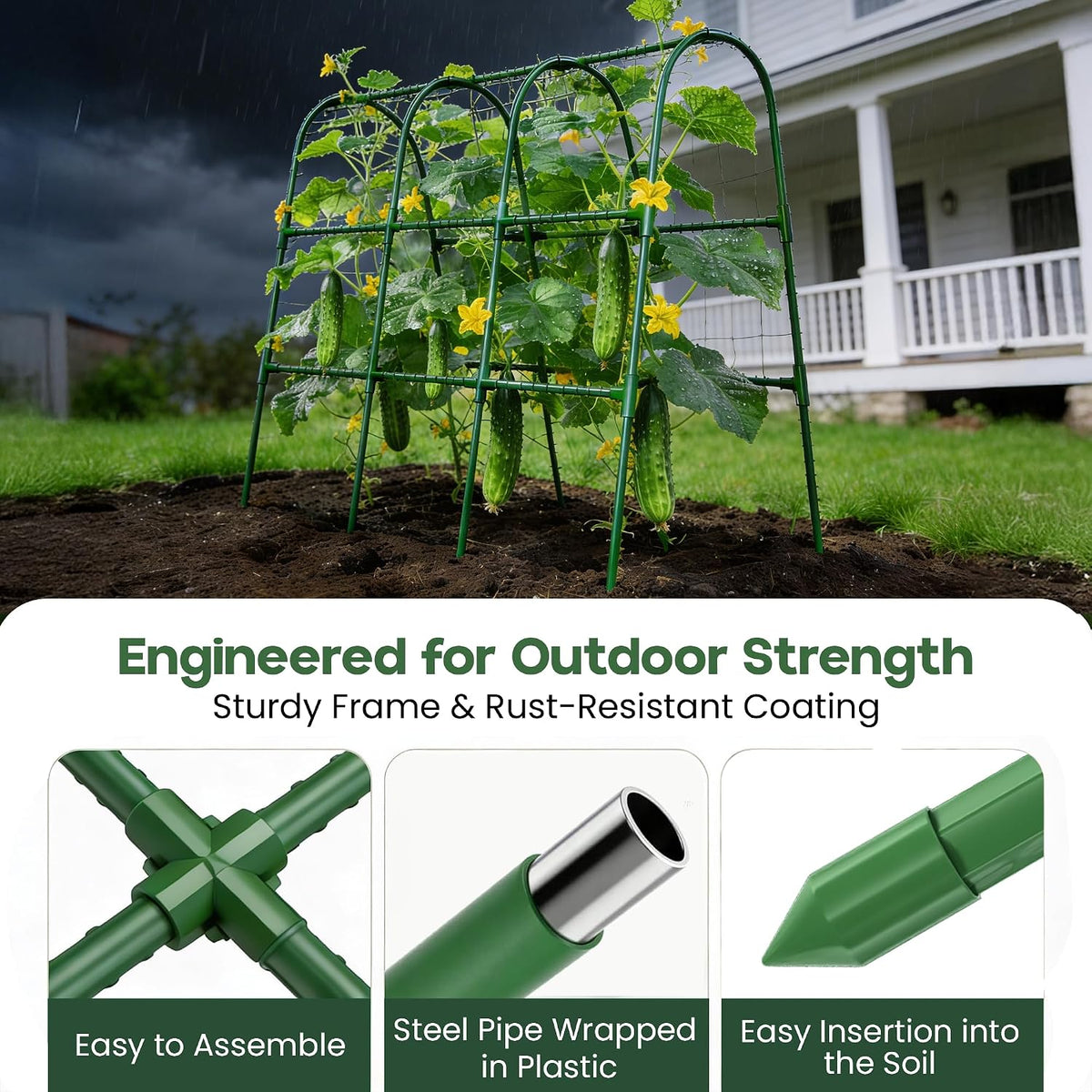 50x50 Cucumber Trellis for Raised Bed- A Frame Vegetable Garden Trellis