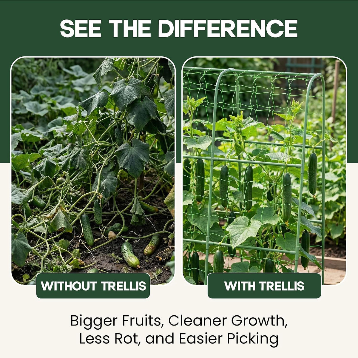 50x50 Cucumber Trellis for Raised Bed- A Frame Vegetable Garden Trellis