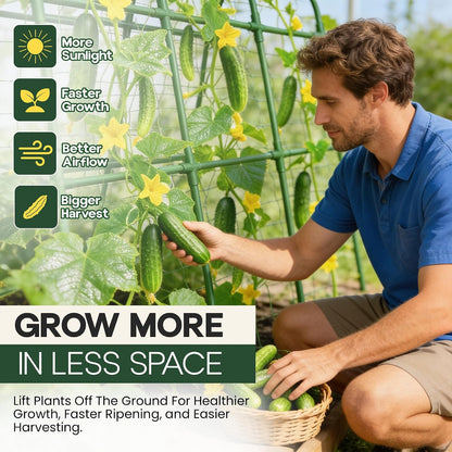 50x50 Cucumber Trellis for Raised Bed- A Frame Vegetable Garden Trellis