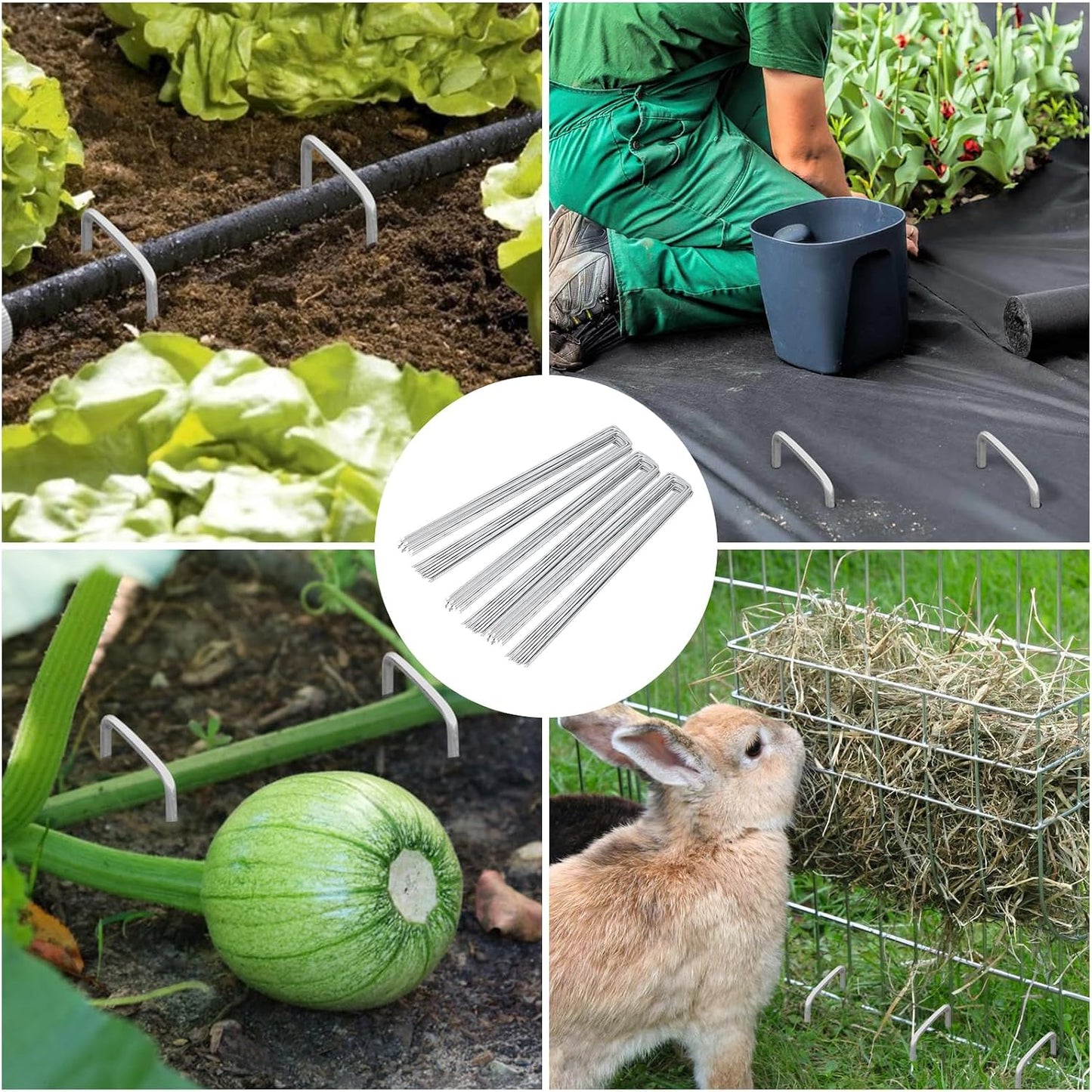 6 Inch 200 Pack Galvanized Landscape Staples 11 Gauge Anti-Rust Garden Stakes Landscaping Fabric SOD Pins Yard Stakes for Christmas Decoration Weed Barrier Fabric