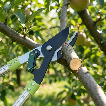 25"- 43" Tree Trimmer, Heavy Duty Bypass Loppers for Tree Branches, Sharp Steel Pruning Shears for 2 Inch Cutting, Garden Tool for Yard Trimming