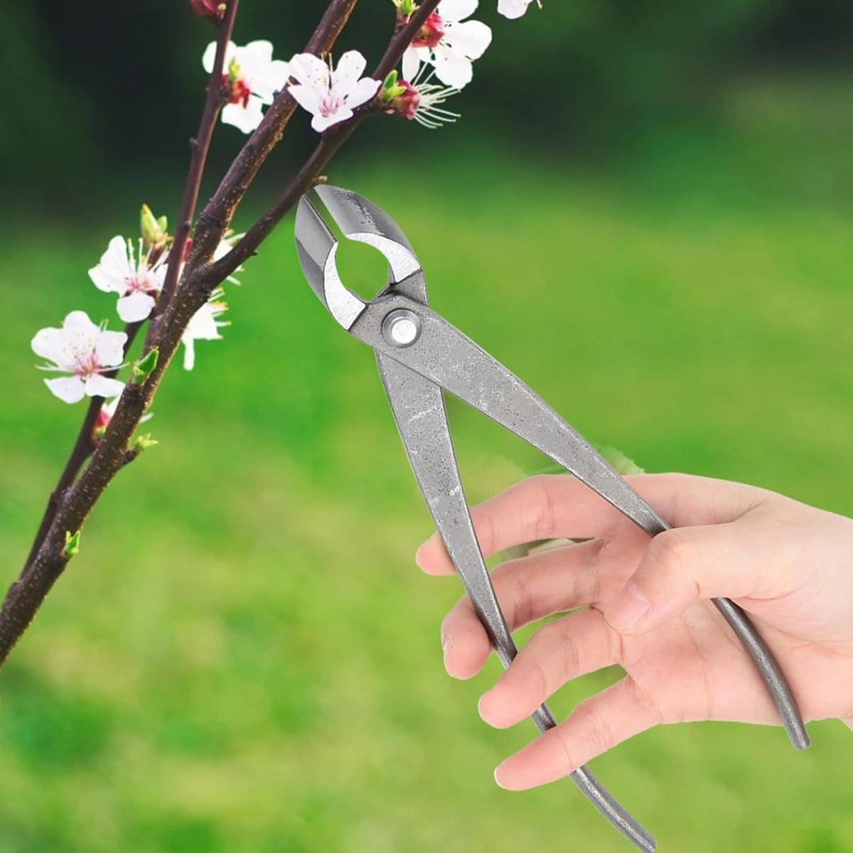 Concave Branch Cutter 8 Inch Carbon Steel Bonsai Shears