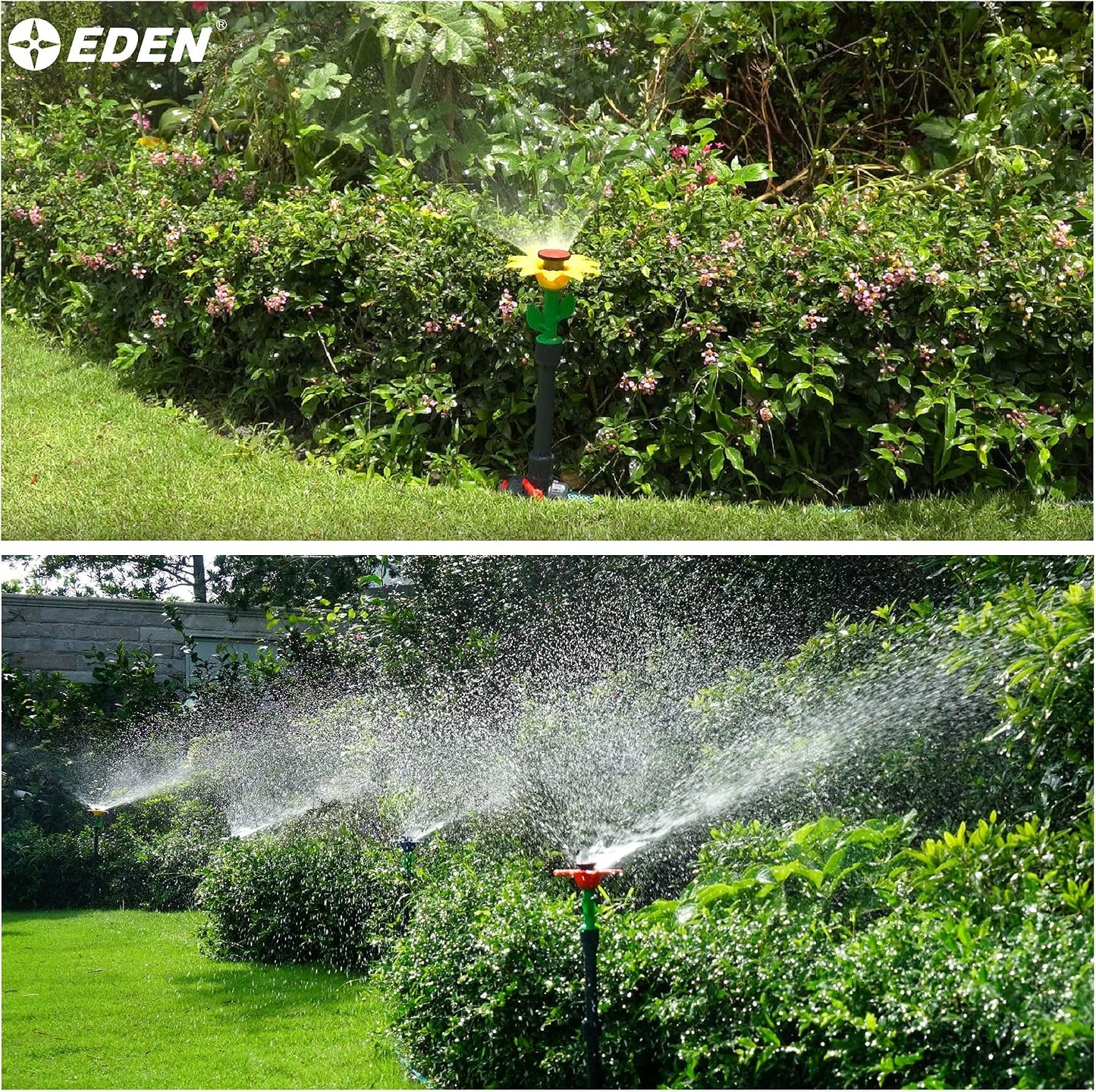 97065 Daisy Above-Ground 50 Ft Garden Hose and Sprinkler System, DIY Plant Watering Set