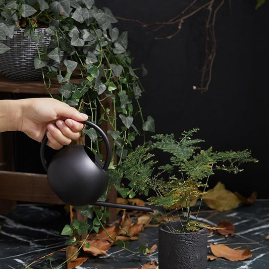 Elegance Decorative Watering can for Indoor Plants, 33.8Oz/1L, Small Enlarged Inlet Bonsai Succulent Flower Pot with Long Spout for Precise, Metal House Plant Watering can Black
