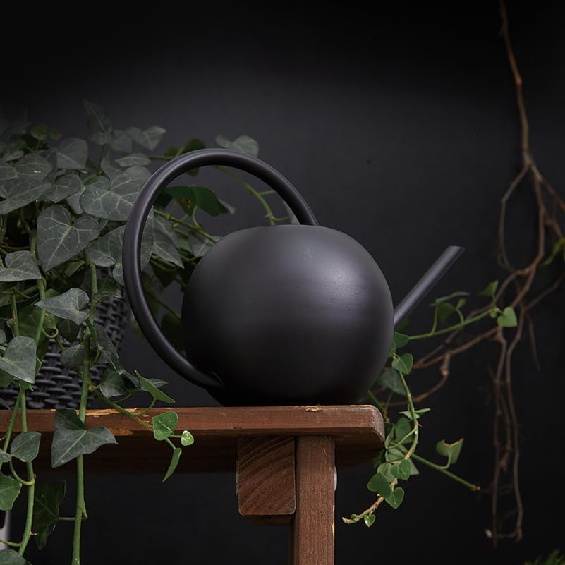 Elegance Decorative Watering can for Indoor Plants, 33.8Oz/1L, Small Enlarged Inlet Bonsai Succulent Flower Pot with Long Spout for Precise, Metal House Plant Watering can Black