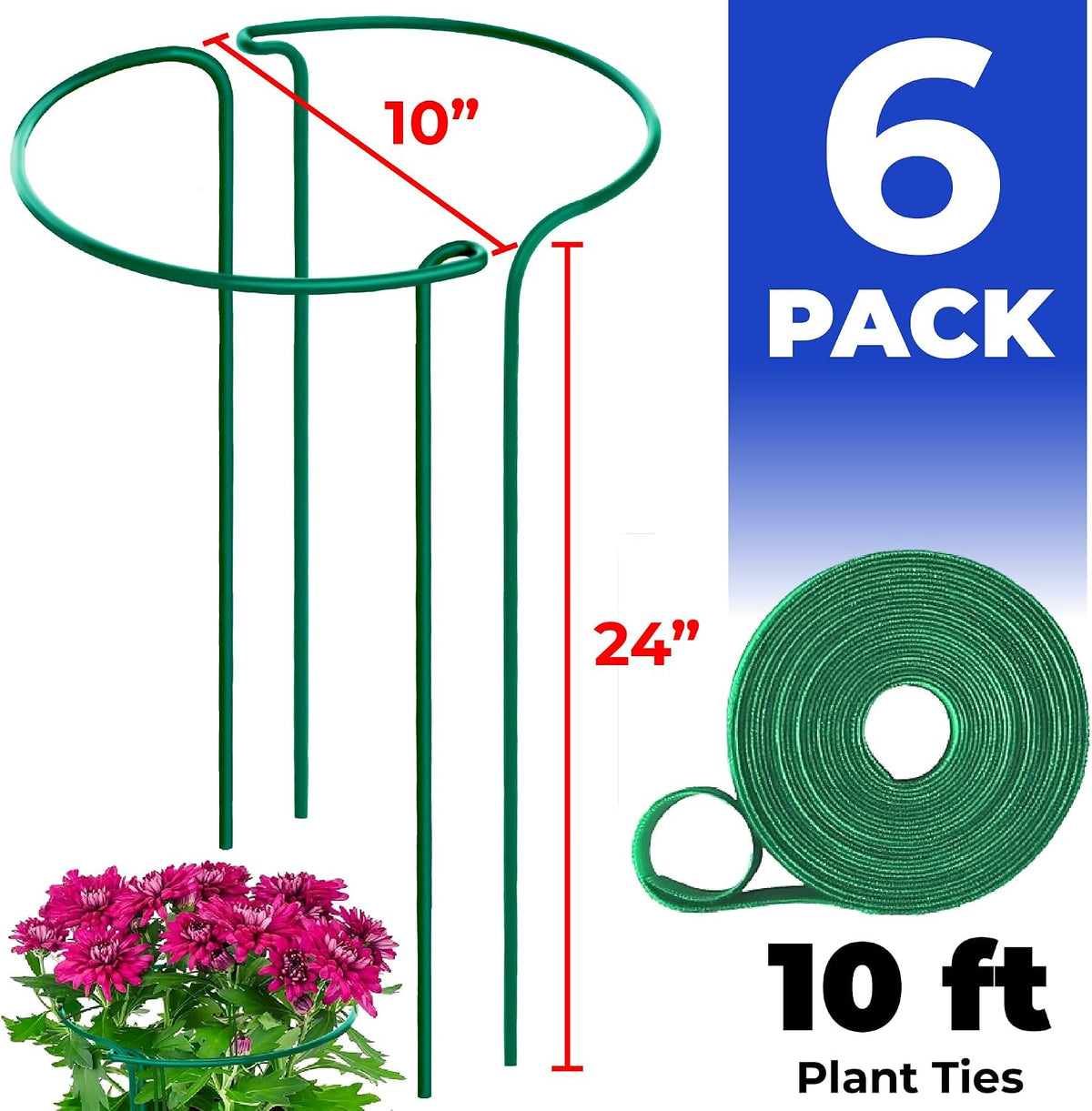 Tall Plant Support Stakes for Indoor and Outdoor - Peony Cages and Supports - Plant Cage Ring for Potted Flower - Peony, Tomato, Hydrangea, Rose Bush 10" W x 16" H (6 Pack)
