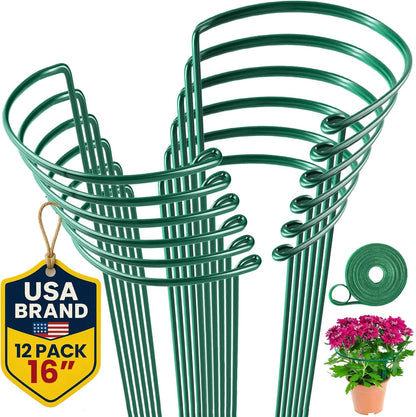 Tall Plant Support Stakes for Indoor and Outdoor - Peony Cages and Supports - Plant Cage Ring for Potted Flower - Peony, Tomato, Hydrangea, Rose Bush 10" W x 16" H (6 Pack)