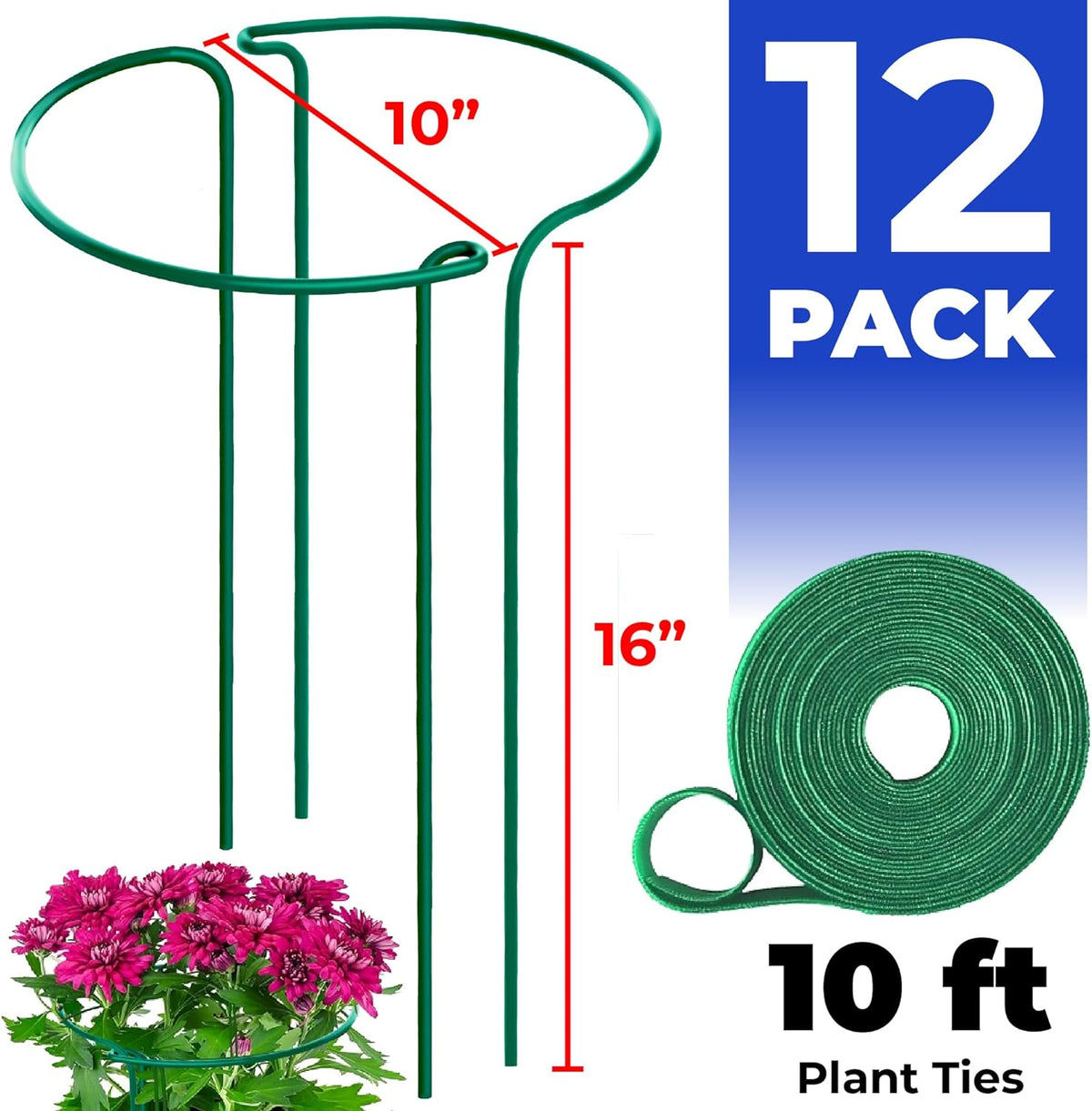 Tall Plant Support Stakes for Indoor and Outdoor - Peony Cages and Supports - Plant Cage Ring for Potted Flower - Peony, Tomato, Hydrangea, Rose Bush 10" W x 16" H (6 Pack)