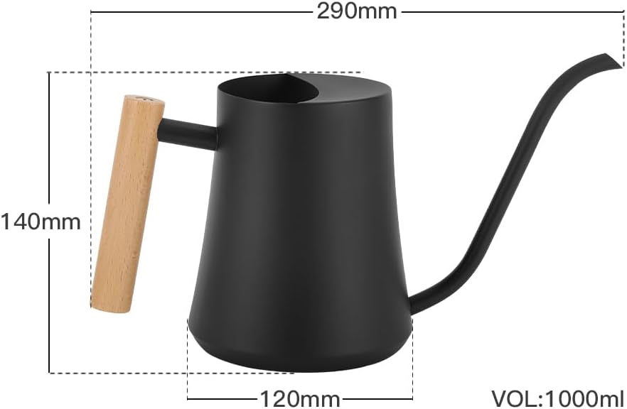 Black Watering Can for Indoor Plants, 1L/35oz Stainless Steel