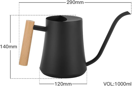Black Watering Can for Indoor Plants, 1L/35oz Stainless Steel