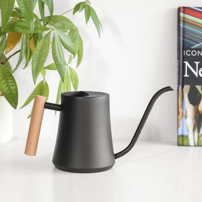 Black Watering Can for Indoor Plants, 1L/35oz Stainless Steel