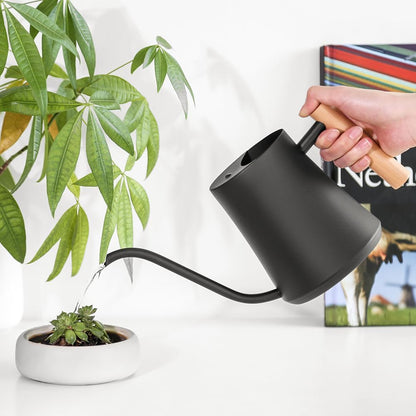 Black Watering Can for Indoor Plants, 1L/35oz Stainless Steel